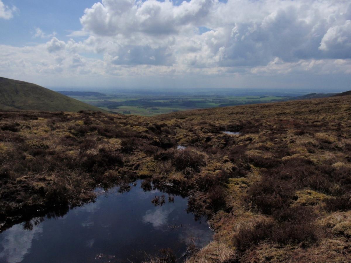 Peatland restoration in Bowland