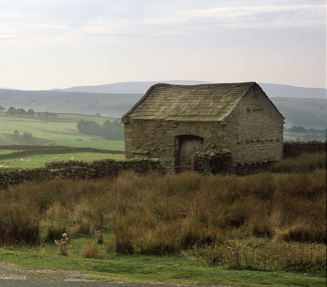 Field Barn by Charlie Hedley