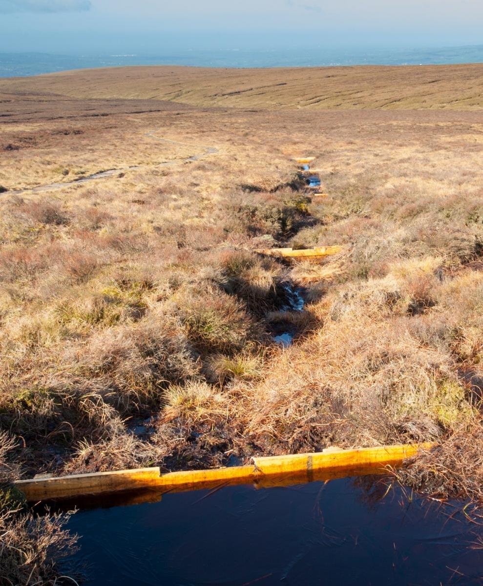 Pendle Peat by Graham Cooper