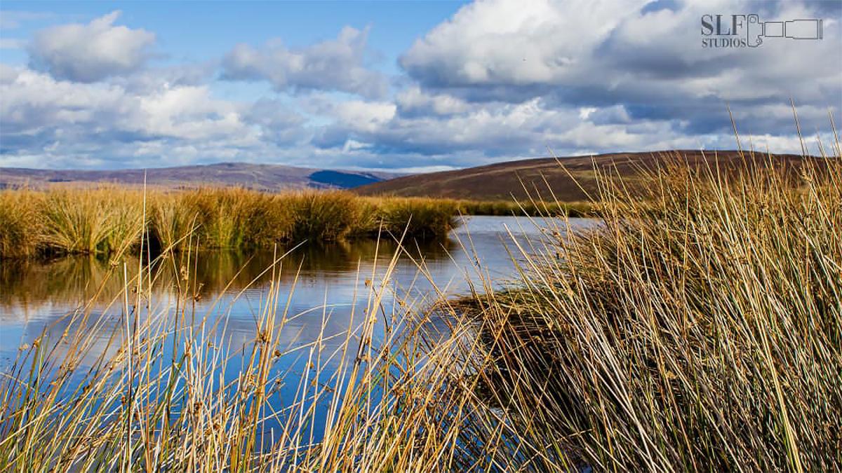 Tarn Lake, Nicky Nook by Sam Fielding