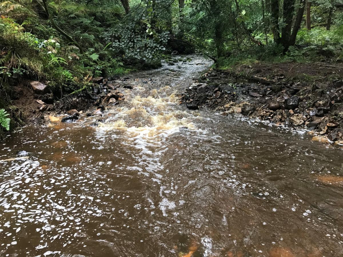 Smithy Beck image by Wyre Rivers Trust