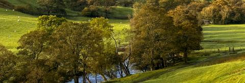 One of the best views in the forest of bowland  © Stephen Adair