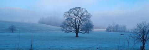 Frosty Whitewell  © Ivana Koulakova 