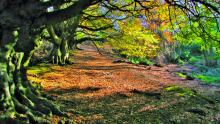 This is one of my favourite walks, but instead of going over Nicky nook, we sometimes walk all the way round the hill © Sue Lowe