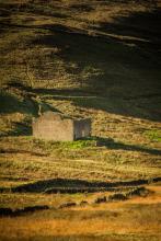 For me this image of an abandoned barn is typical of our northern landscape )along with our beautiful stone walls!). I love the fact that old barns like this are allowed to remain standing to help retain the rich history of that landscape. © Paul Warrilow